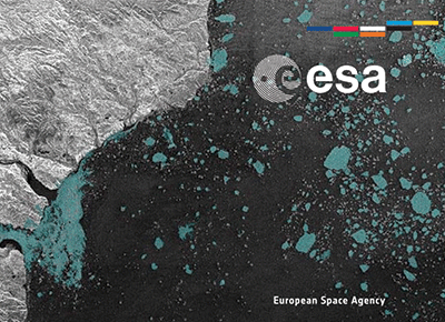 Esa Brand Identity